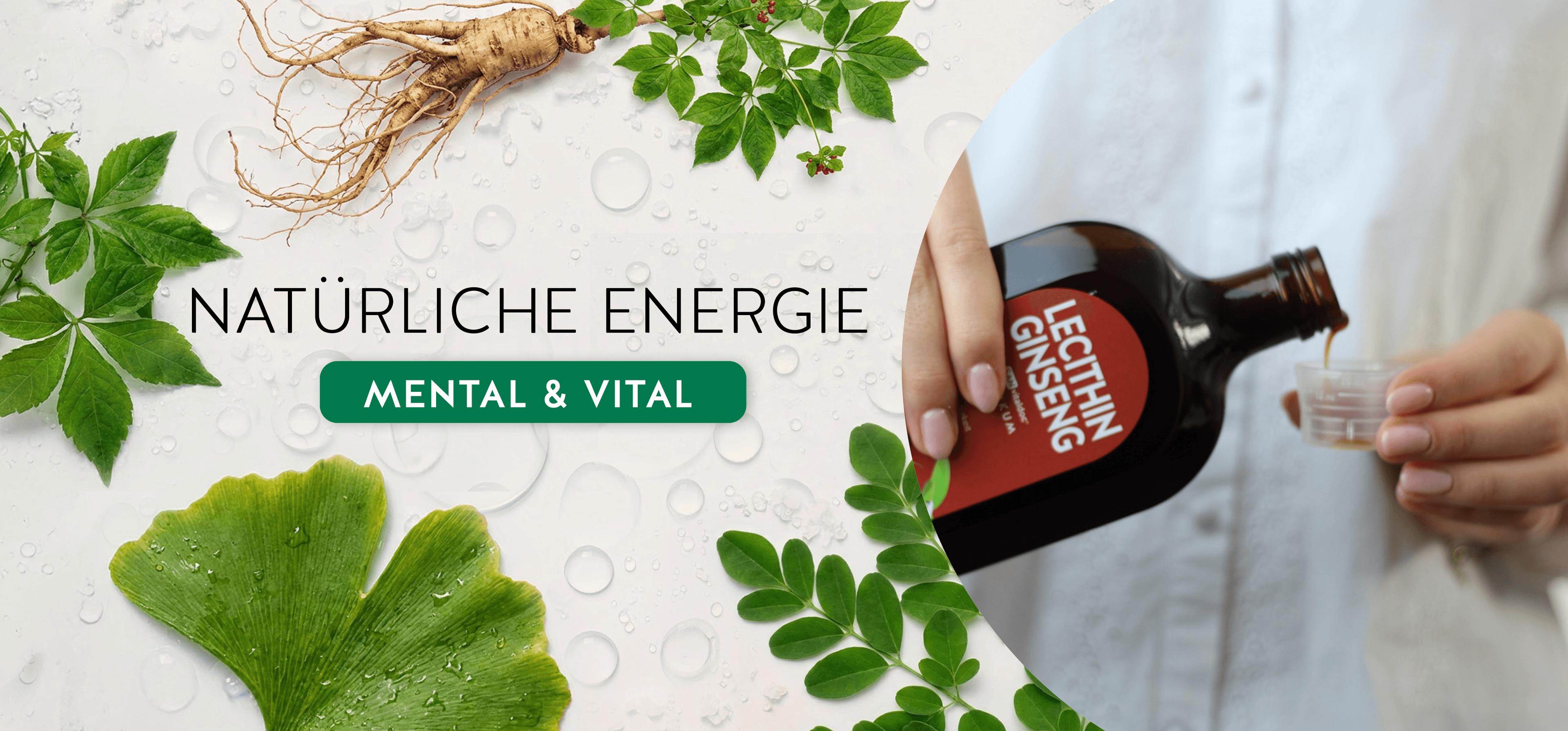 Was du über Ginseng vor dem Kauf wissen solltest