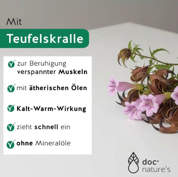 Wirkung der Teufelskralle bei Muskelverspannungen