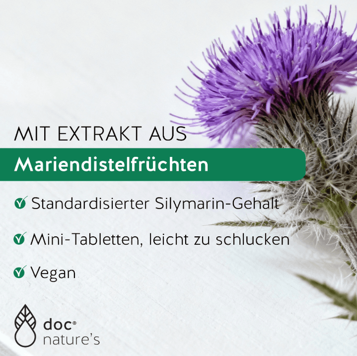 Silymarin Wirkung verbessern – Darauf solltest du achten