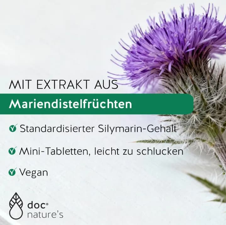 Silymarin Wirkung verbessern – Darauf solltest du achten