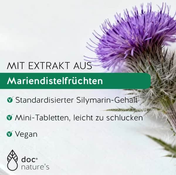 Silymarin Wirkung verbessern – Darauf solltest du achten