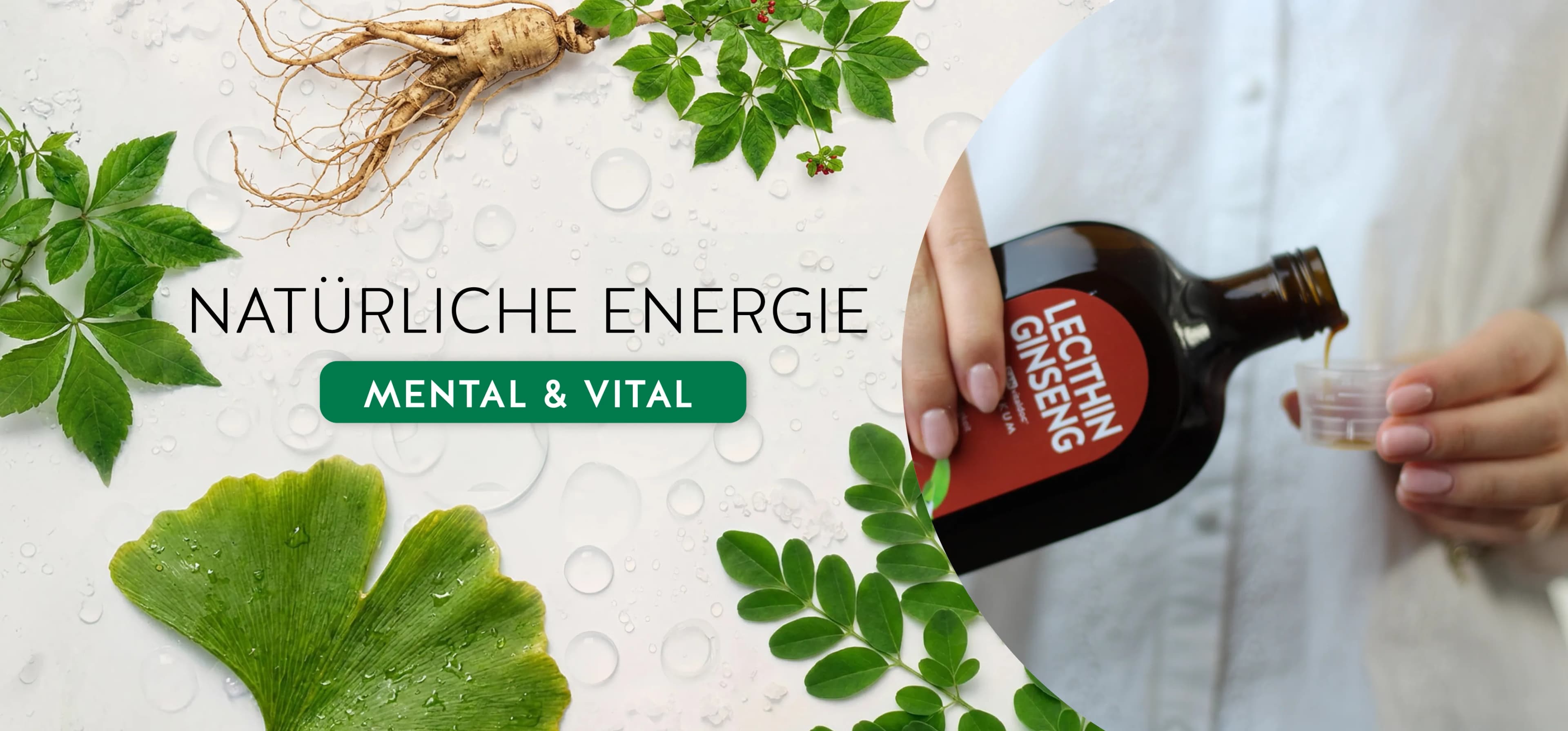 Ginseng Tonikum mit Lecithin