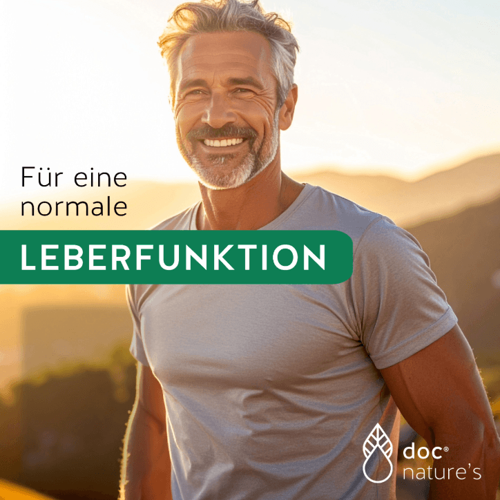 Ist Silymarin gut für die Leber?