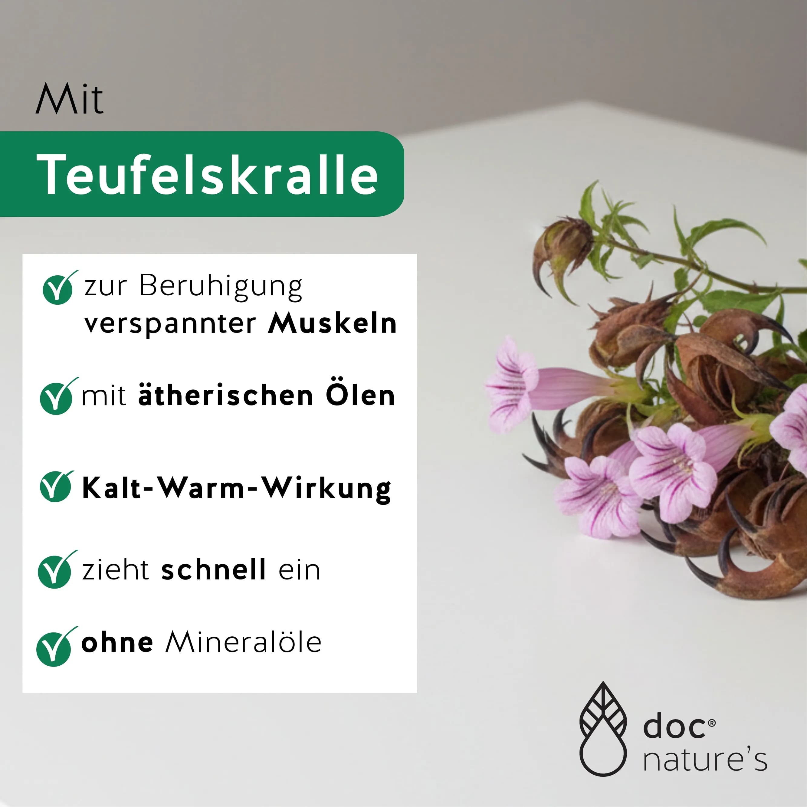 Pflanzliche Hilfe dank Teufelskralle bei Schmerzen