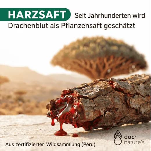 Drachenblut hilft Wunden heilen