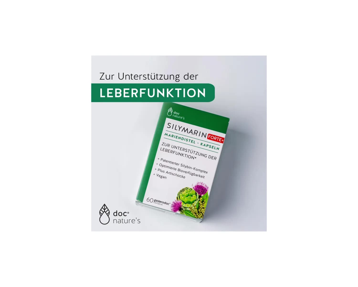 SILYMARIN FORTE+ MARIENDISTEL KAPSELN